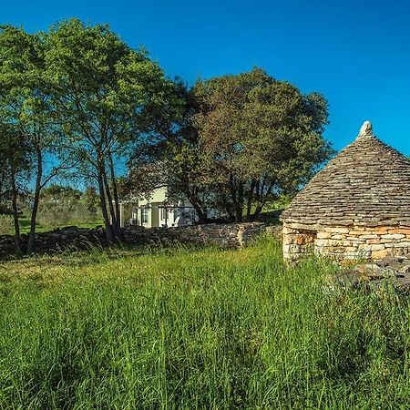 Holiday Home Bellissima Vodnjan Eksteriør bilde